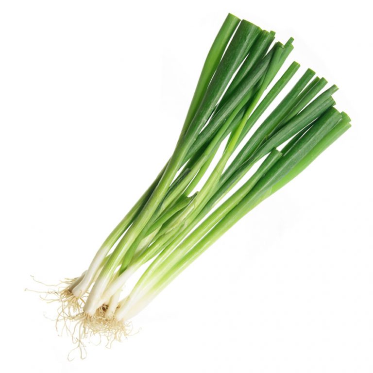 Onions (Bundle) - Common Ground