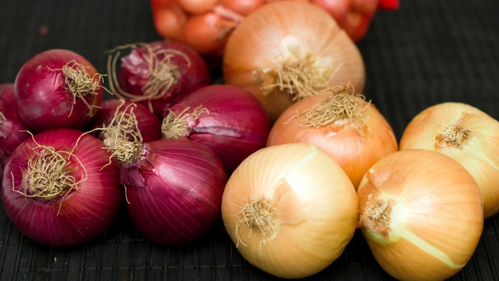 Red onion vs. Yellow onion_Blog featured image